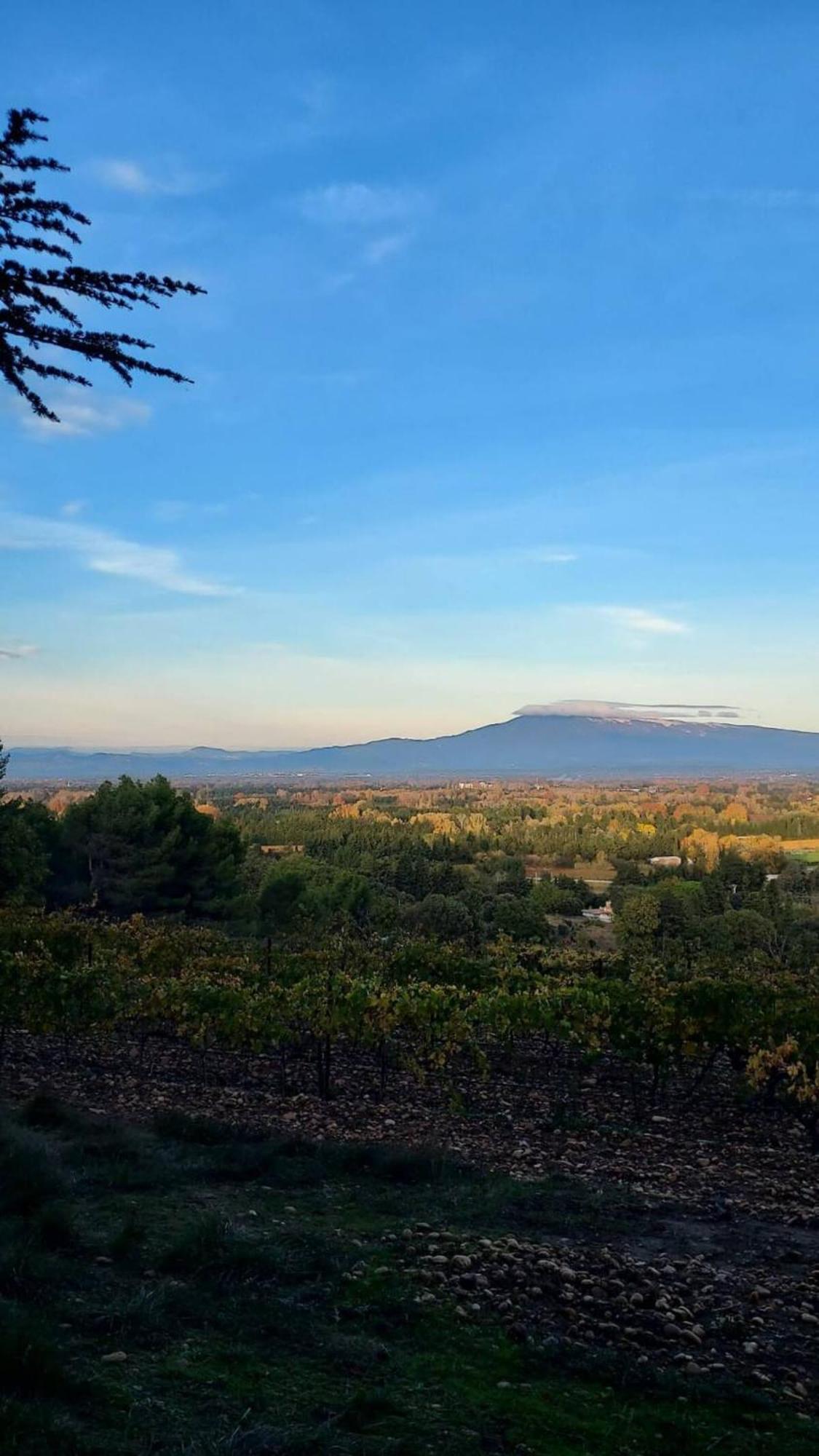 L'Appartement De L'Arche Chateauneuf-de-Gadagne Luaran gambar